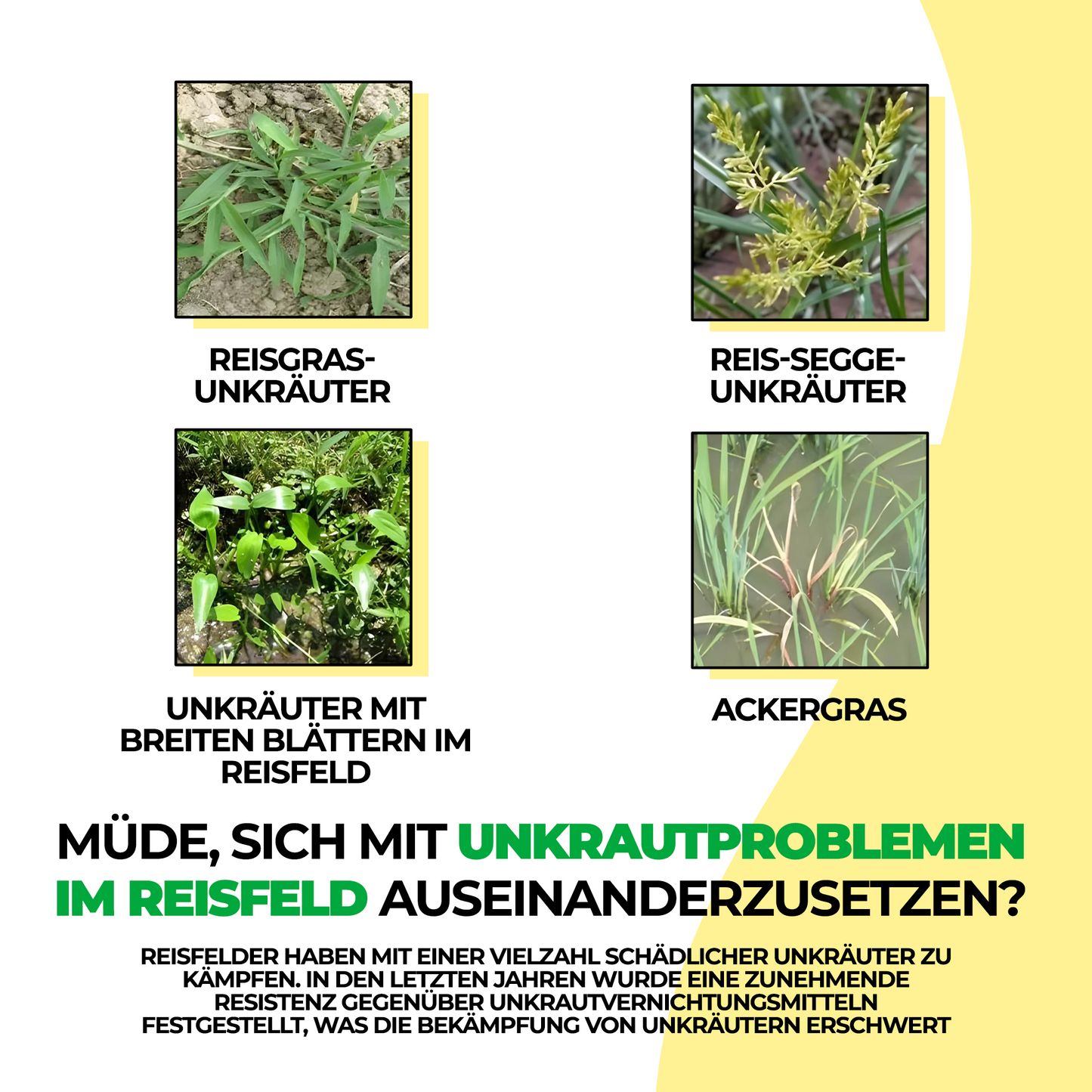 Glyphosat-Herbizid mit hoher Konzentration, Unkrautvernichter