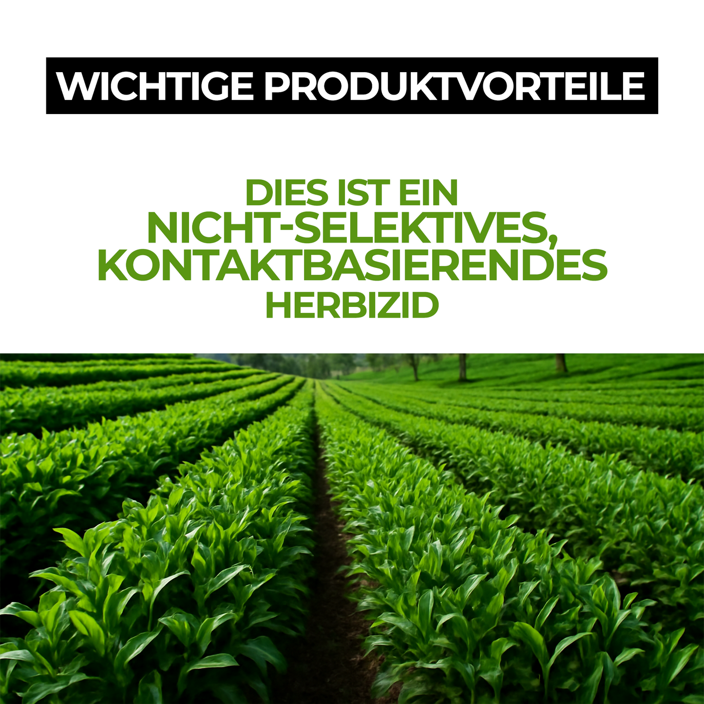 Glyphosat-Herbizid mit hoher Konzentration, Unkrautvernichter