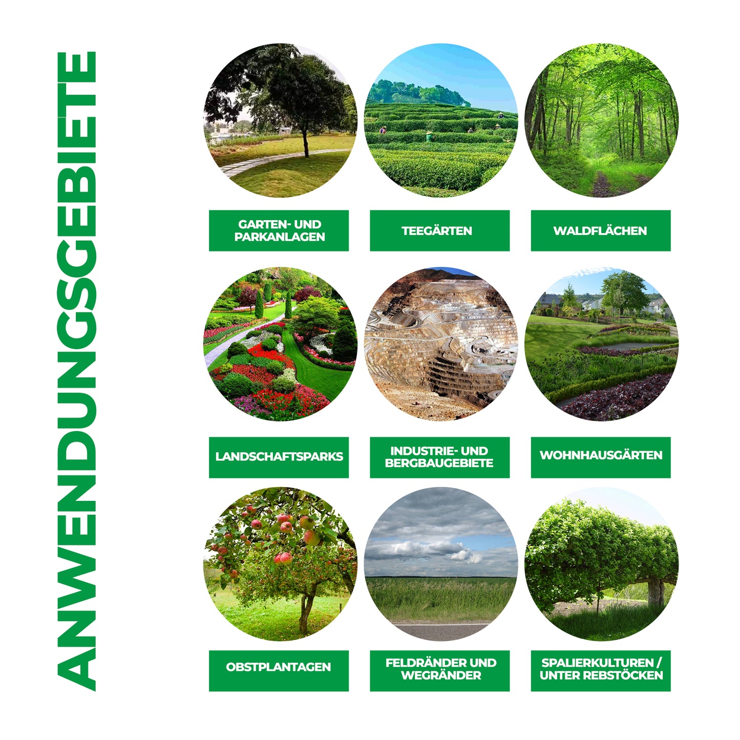 41% Glyphosatkonzentrat – Leistungsstarke Gras- und Vegetationskontrolle für das Flächenmanagement