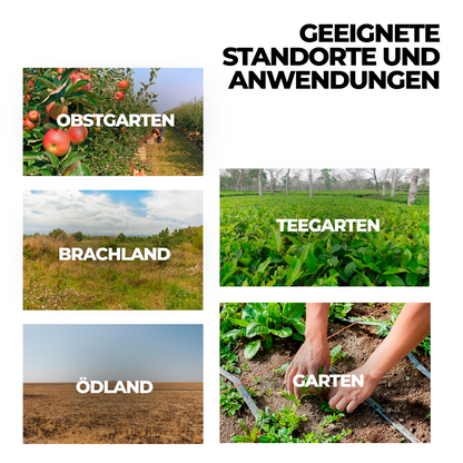 Glyphosat-Herbizid mit hoher Konzentration, Unkrautvernichter