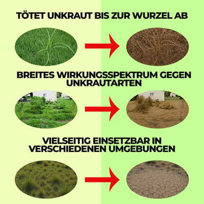 41% Glyphosatkonzentrat – Leistungsstarke Gras- und Vegetationskontrolle für das Flächenmanagement