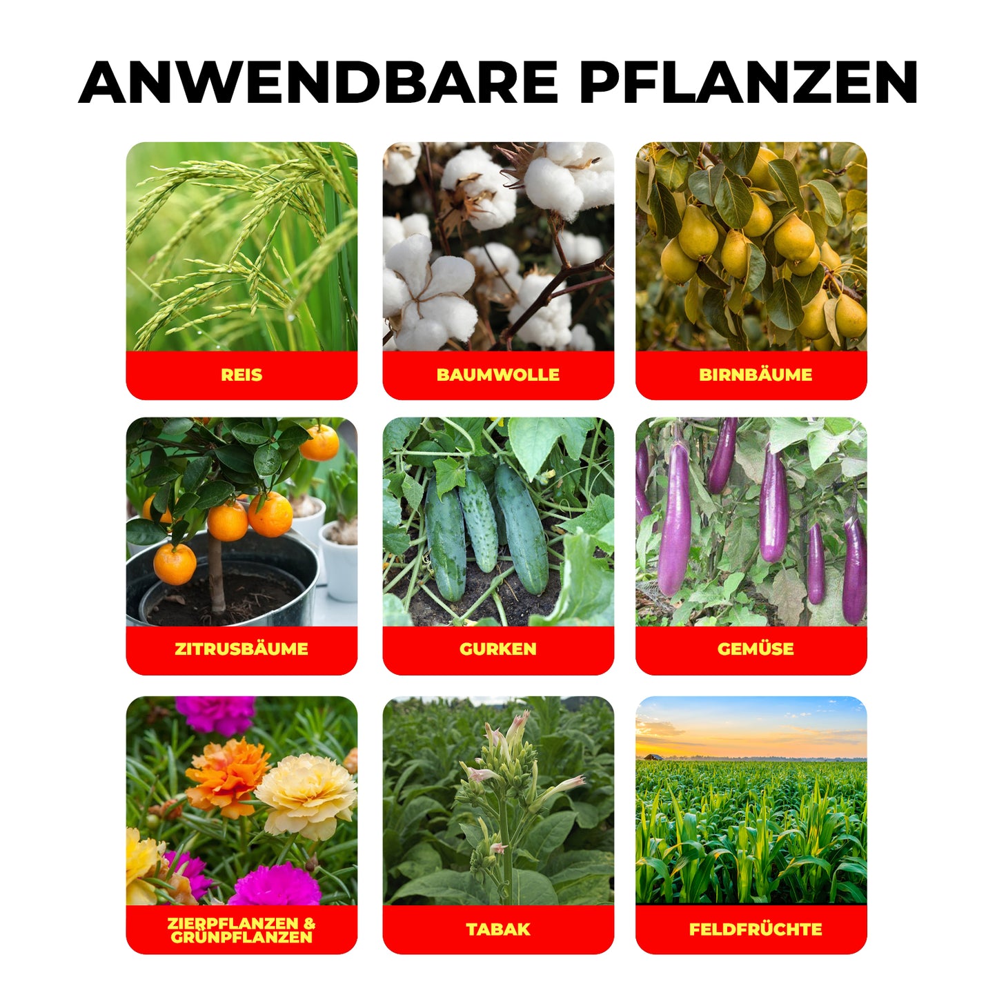 1,8% Abamectin-Emulsion Fortschrittliche Insektenbekämpfungsformel für Gemüse, Obst & Pflanzen